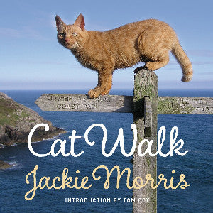 Cat Walk