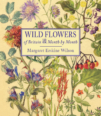 Clawr llyfr / Book cover: Wild Flowers of Britain - Month by Month