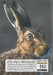 Hare Notebook, The