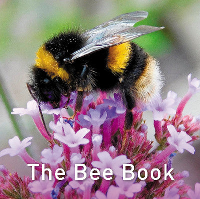 Clawr llyfr / Book cover: Nature Book Series: The Bee Book