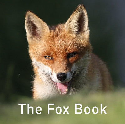 Clawr llyfr / Book cover: Nature Book Series: The Fox Book