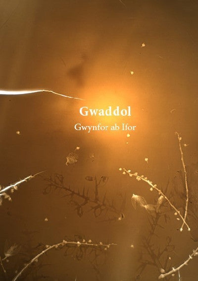 Clawr llyfr / Book cover: Gwaddol