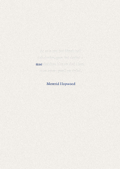 Clawr llyfr / Book cover: MAE
