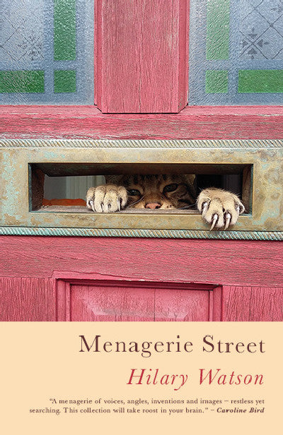 Clawr llyfr / Book cover: Menagerie Street