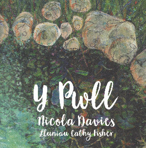 Y Pwll 