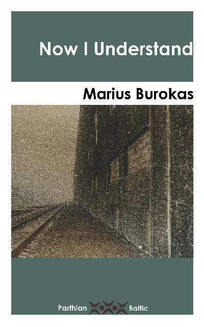 Clawr llyfr / Book cover: Now I Understand