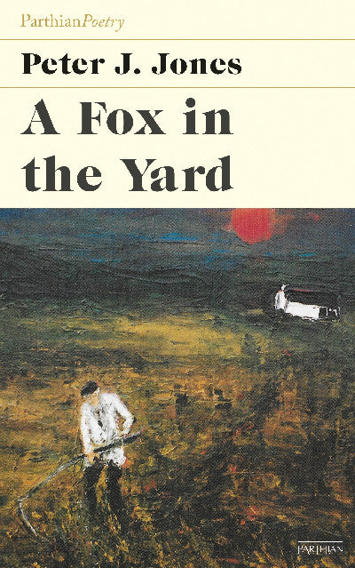 Clawr llyfr / Book cover: A Fox in the Yard
