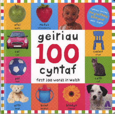 Clawr llyfr / Book cover: 100 Geiriau Cyntaf/ First 100 Words in Welsh