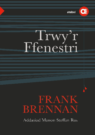 Clawr llyfr / Book cover: Cyfres Amdani: Trwy'r Ffenestri