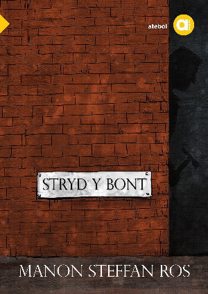 Cyfres Amdani: Stryd y Bont