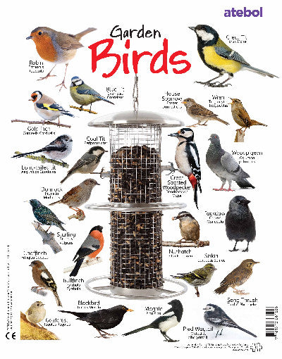 Gêm / Game: Garden Birds Jigsaw