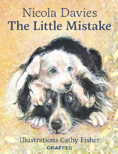 Clawr llyfr / Book cover: The Little Mistake