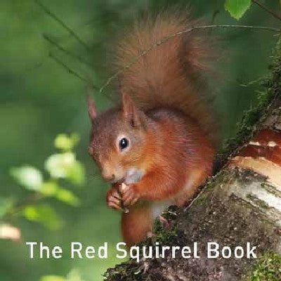 Clawr llyfr / Book cover: Nature Book Series: The Red Squirrel Book
