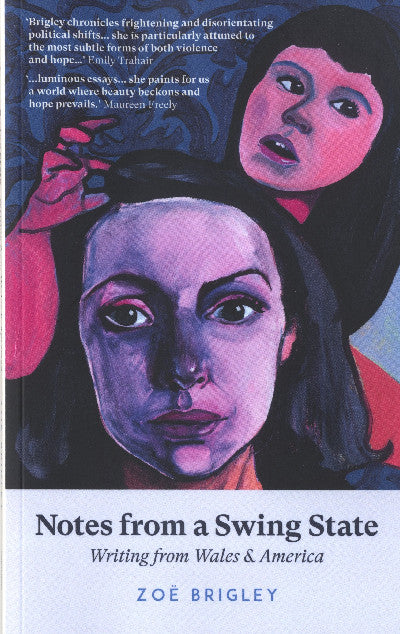 Clawr llyfr / Book cover: Notes from a Swing State