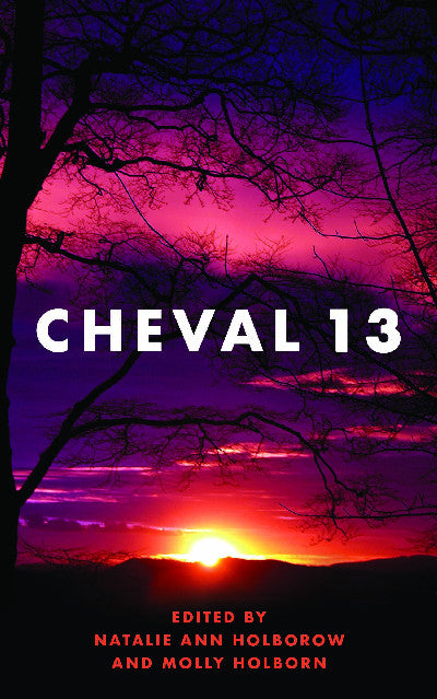 Clawr llyfr / Book cover: Cheval 13