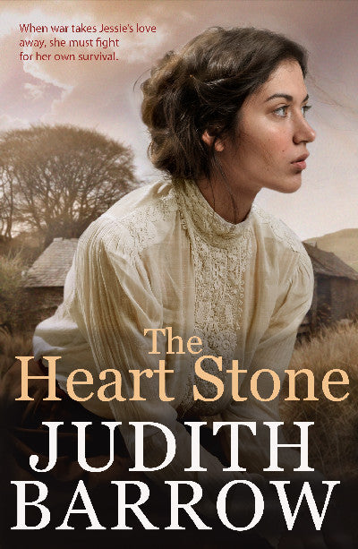 Clawr llyfr / Book cover: Heart Stone, The