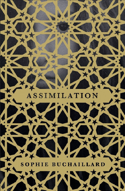Clawr llyfr / Book cover: Assimilation