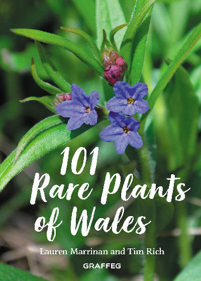 Clawr llyfr / Book cover: 101 Rare Plants of Wales