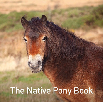 Clawr llyfr / Book cover: Nature Book Series: The Native Pony Book