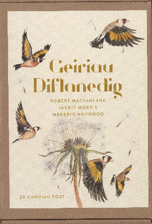 Geiriau Diflanedig (20 Cardiau Post)