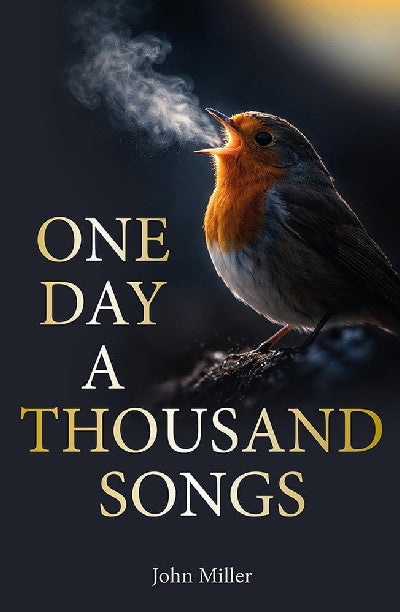 Clawr llyfr / Book cover: One Day a Thousand Songs