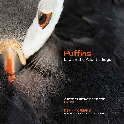Clawr llyfr / Book cover: Puffins: Life on the Atlantic Edge
