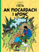 An Piocardach i Bponc