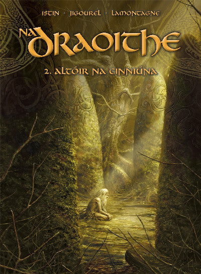 Clawr llyfr / Book cover: Na Draoithe: 2. Altóir na Cinniúna