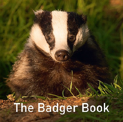 Clawr llyfr / Book cover: Nature Book Series: The Badger Book