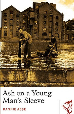 Library of Wales: Ash on a Young Man's Sleeve