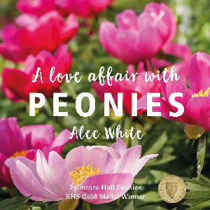 A Love Affair with Peonies 