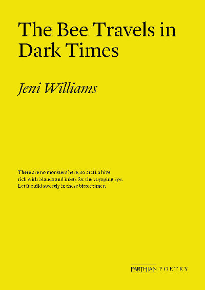 Clawr llyfr / Book cover: The Bee Travels in Dark Times