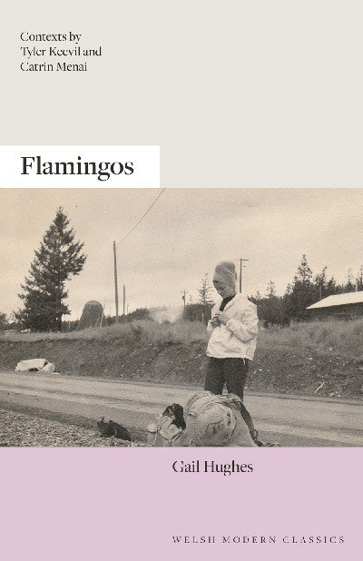 Clawr llyfr / Book cover: Flamingos