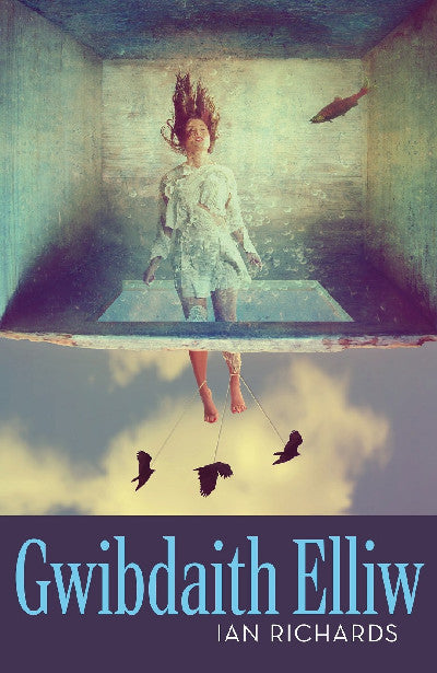 Clawr llyfr / Book cover: Gwibdaith Elliw