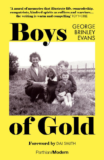 Clawr llyfr / Book cover: Boys of Gold