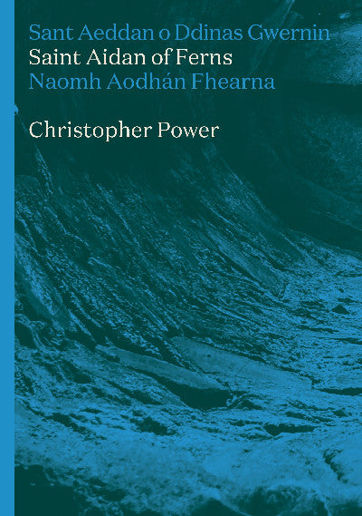 Clawr llyfr / Book cover: St Aidan of Ferns