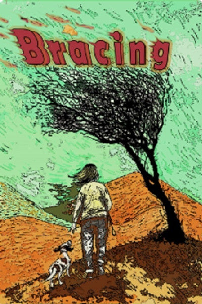 Clawr llyfr / Book cover: Bracing