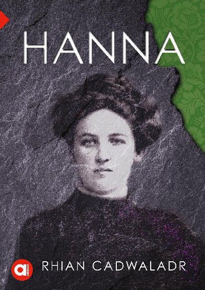 Clawr llyfr / Book cover: Cyfres Amdani: Hanna