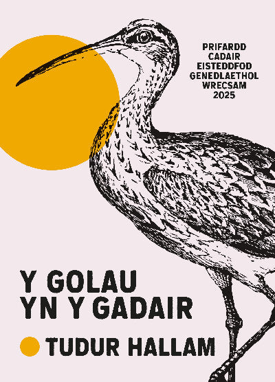 Clawr llyfr / Book cover: Y Golau yn y Gadair
