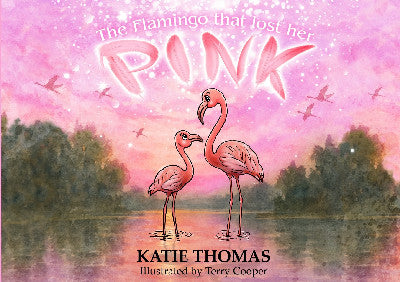Clawr llyfr / Book cover: The Flamingo That Lost Her Pink