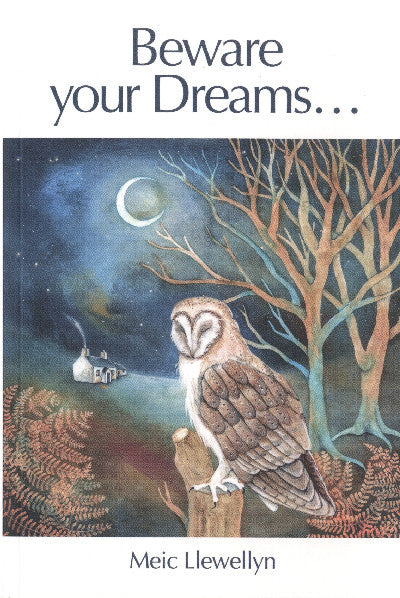 Clawr llyfr / Book cover: Beware your Dreams...