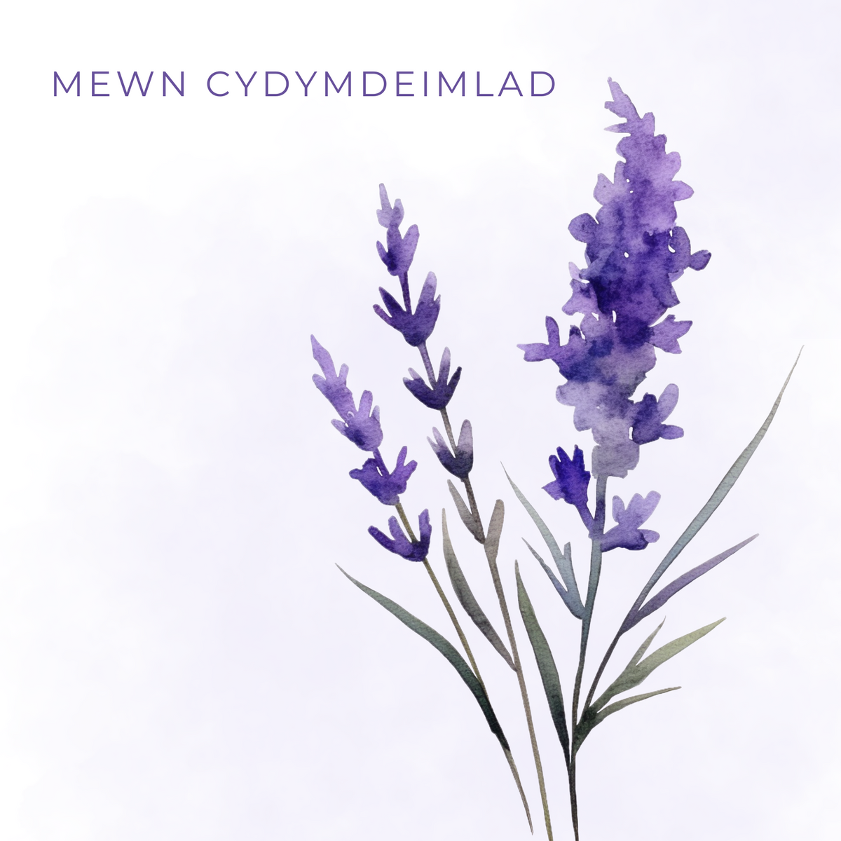 Cerdyn Mewn Cydymdeimlad | Cardiau.Cymru - Siop Y Pentan
