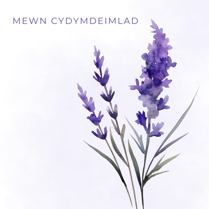 Cerdyn Mewn Cydymdeimlad | Cardiau.Cymru