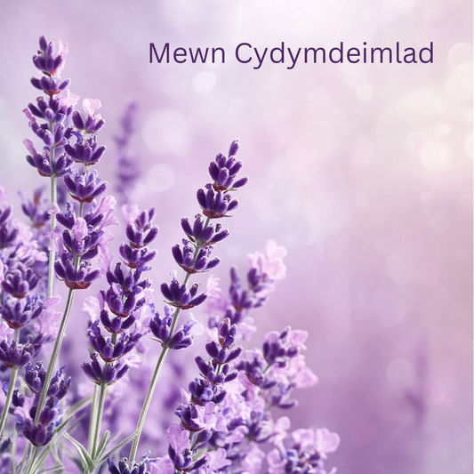 Mewn Cydymdeimlad | Cardiau.Cymru