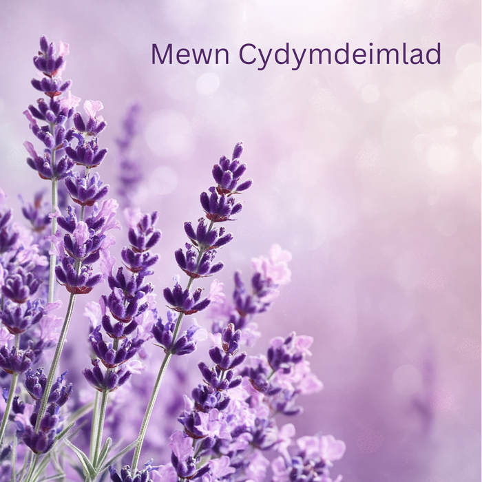 Mewn Cydymdeimlad | Cardiau.Cymru