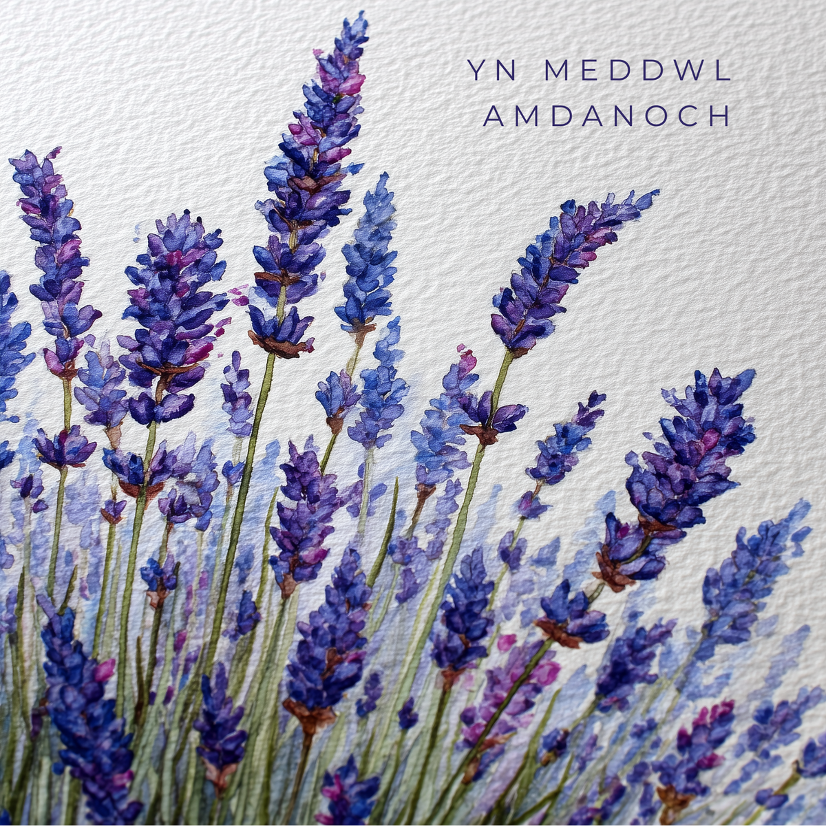 Mewn Cydymdeimlad | Cardiau.Cymru - Siop Y Pentan