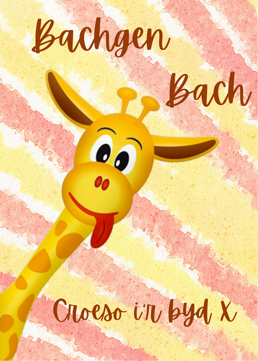 Babi Newydd | CM-BN-04 - Siop Y Pentan