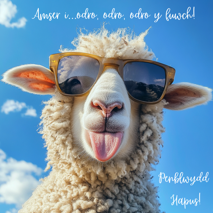 Penblwydd Hapus | Cardiau.Cymru