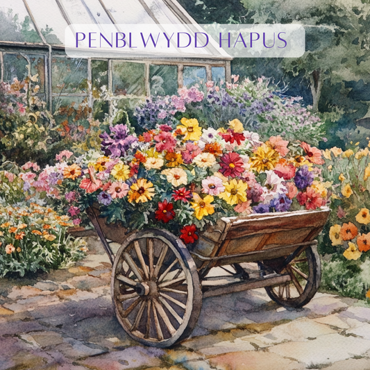 Penblwydd Hapus | Cardiau.Cymru - Siop Y Pentan