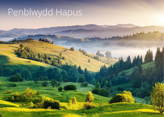 Penblwydd Hapus | Cardiau Myrddin - Siop Y Pentan